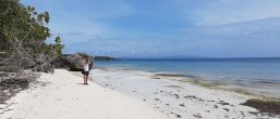 Kliknij i zobacz foto panglao-plaze-wojtek-macha.jpg w powiększeniu