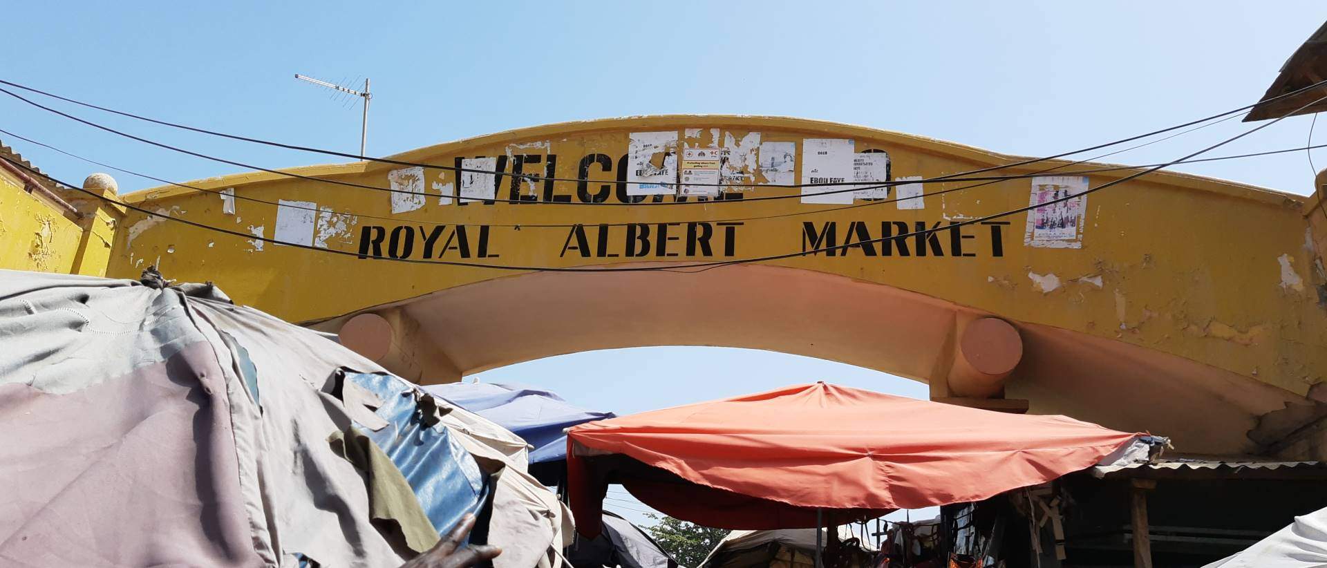 albert market