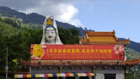 Kliknij i zobacz foto chinskie.webp w powiększeniu