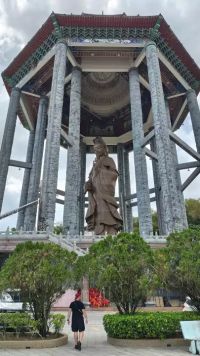 Kliknij i zobacz foto pion-wilk.webp w powiększeniu