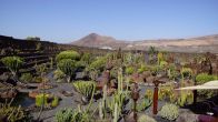 Kliknij i zobacz foto ogrod-kaktusow.jpg w powiększeniu