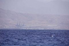 Kliknij i zobacz foto DSC04339.jpg w powiększeniu