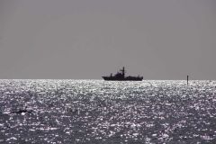 Kliknij i zobacz foto DSC04367.jpg w powiększeniu