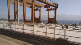 Kliknij i zobacz foto IMG_20190131_103208.jpg w powiększeniu