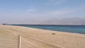 Kliknij i zobacz foto IMG_20190131_120944.jpg w powiększeniu