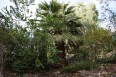 Kliknij i zobacz foto DSC03930.jpg w powiększeniu