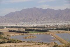 Kliknij i zobacz foto DSC03938.jpg w powiększeniu