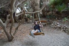 Kliknij i zobacz foto DSC03946.jpg w powiększeniu