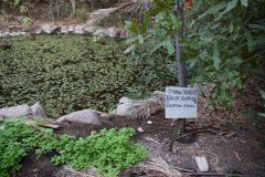 Kliknij i zobacz foto DSC03947.jpg w powiększeniu