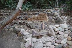 Kliknij i zobacz foto DSC03949.jpg w powiększeniu