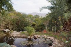 Kliknij i zobacz foto DSC03967.jpg w powiększeniu