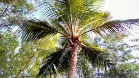 Kliknij i zobacz foto IMG_20190129_145334.jpg w powiększeniu