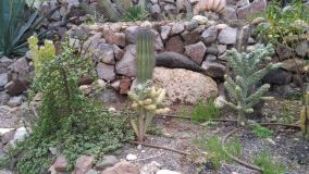 Kliknij i zobacz foto IMG_20190129_152221.jpg w powiększeniu