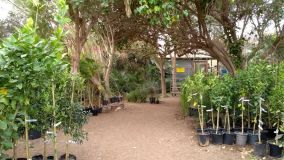 Kliknij i zobacz foto IMG_20190129_153210826.jpg w powiększeniu