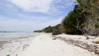 Kliknij i zobacz foto panglao-plaze-pusta.jpg w powiększeniu