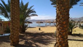 Kliknij i zobacz foto plaza-5.jpg w powiększeniu