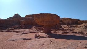 Kliknij i zobacz foto IMG_20190130_134102.jpg w powiększeniu