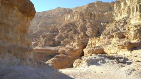 Kliknij i zobacz foto IMG_20190130_145408.jpg w powiększeniu