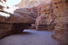 Kliknij i zobacz foto DSC04029.jpg w powiększeniu