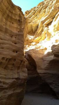 Kliknij i zobacz foto IMG_20190130_104358144.jpg w powiększeniu