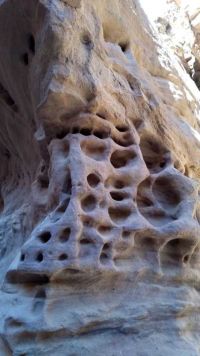 Kliknij i zobacz foto IMG_20190130_104400709.jpg w powiększeniu