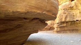 Kliknij i zobacz foto IMG_20190130_104413941.jpg w powiększeniu