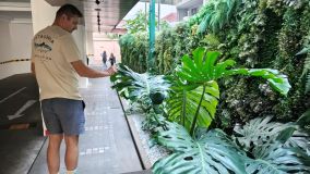 Kliknij i zobacz foto wiking.webp w powiększeniu