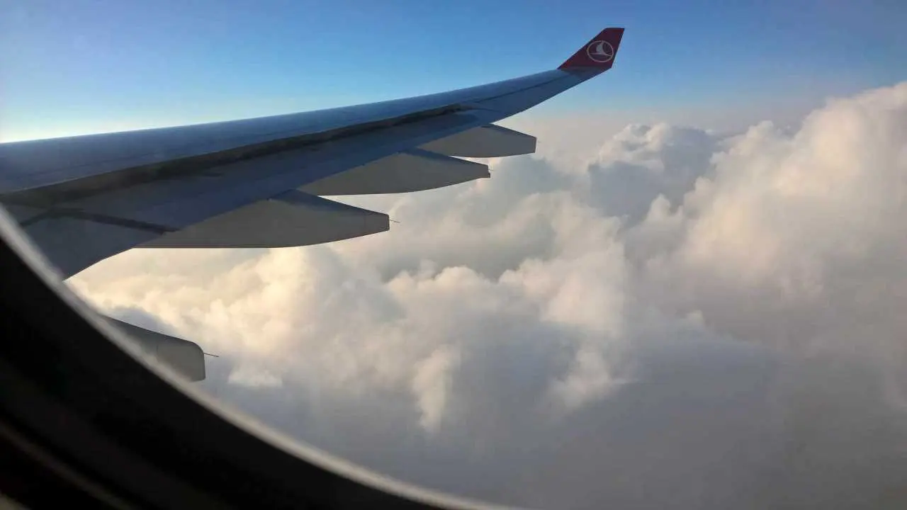 A330 skrzydlo