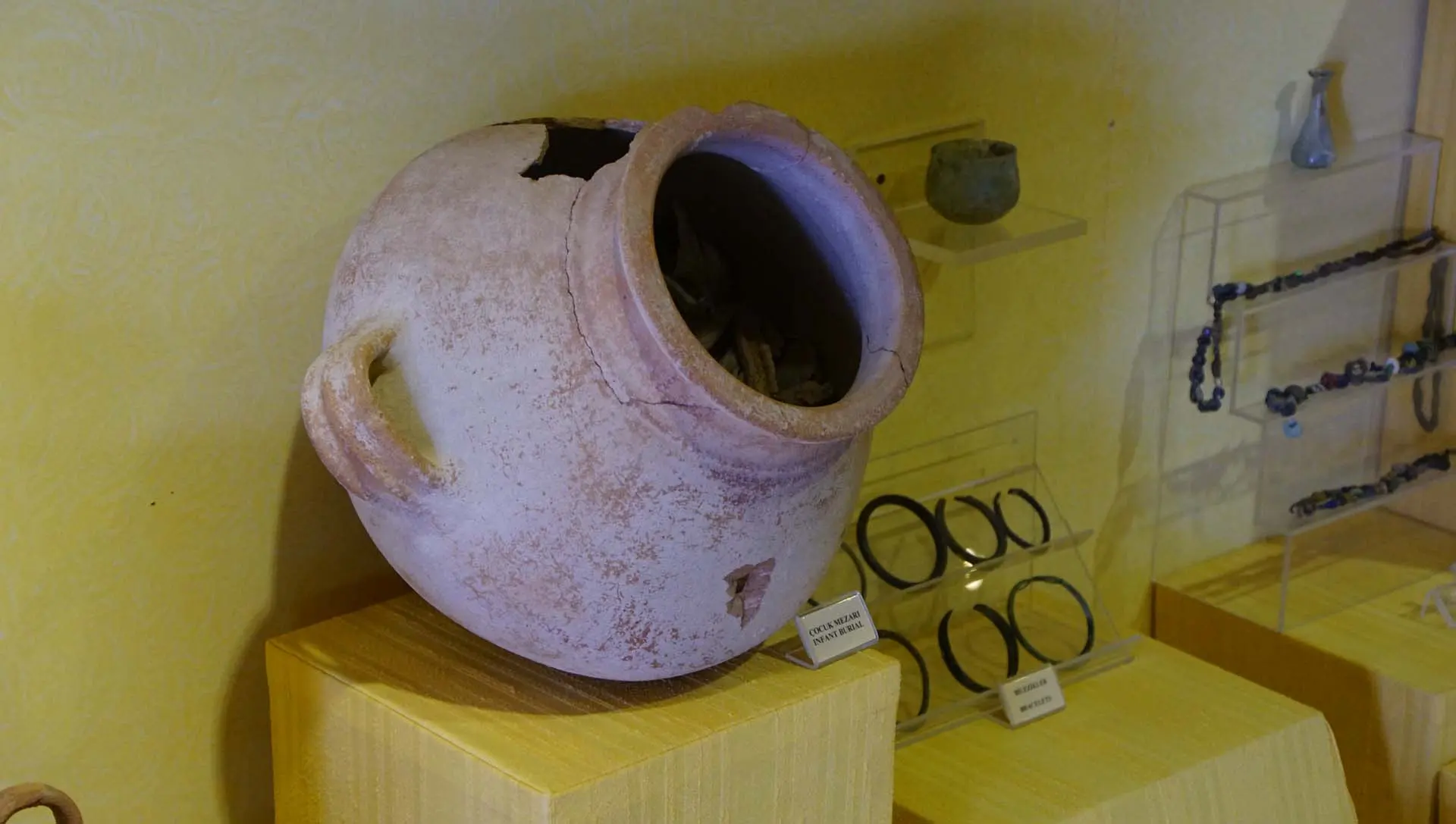 DSC07177