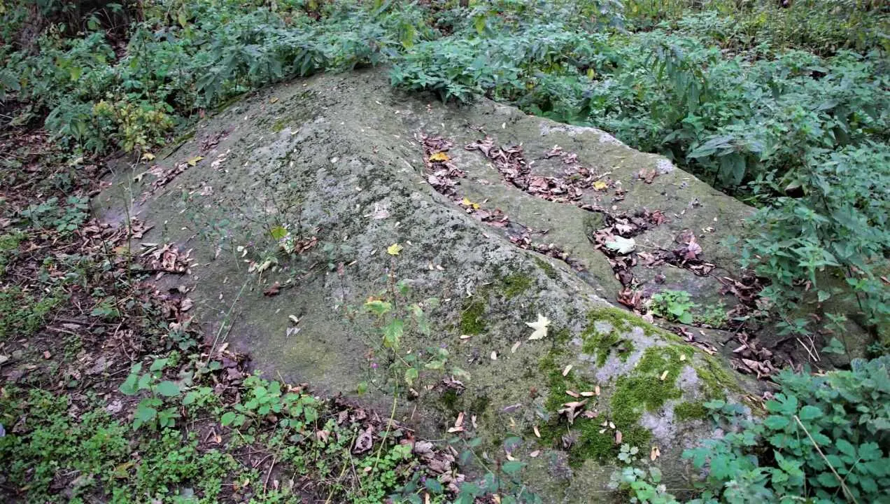 DSC09475