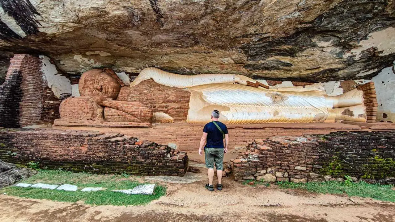 budda wilkolak