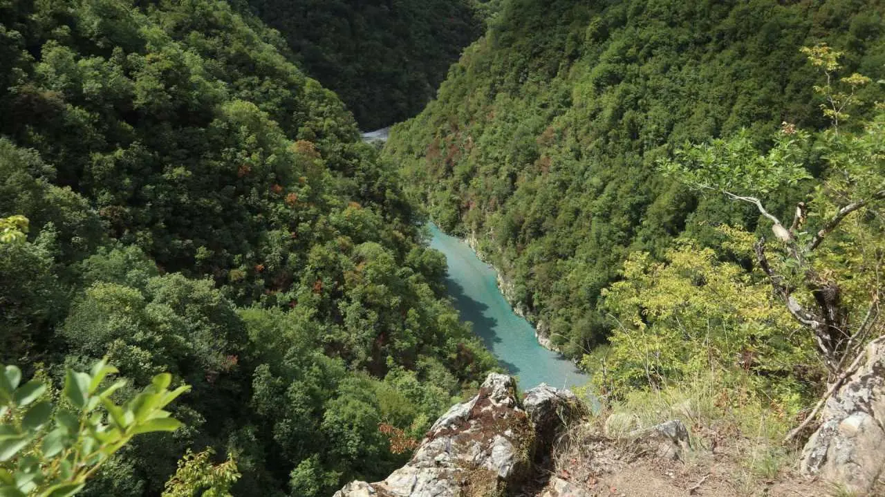 dolina