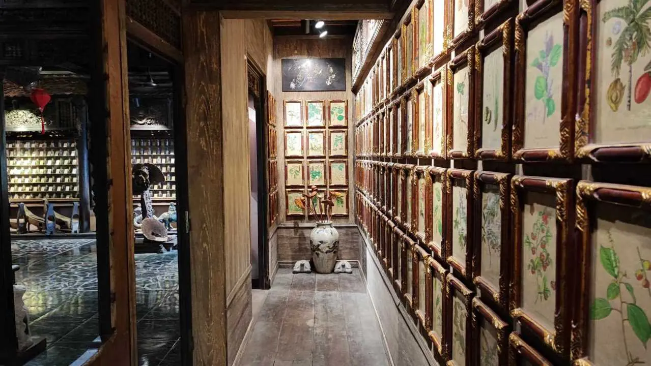 galeria ziol