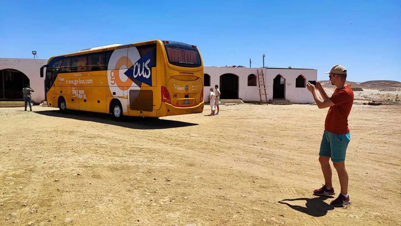 gobus wiking