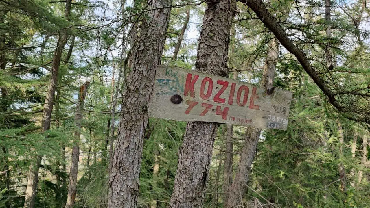 gora koziol