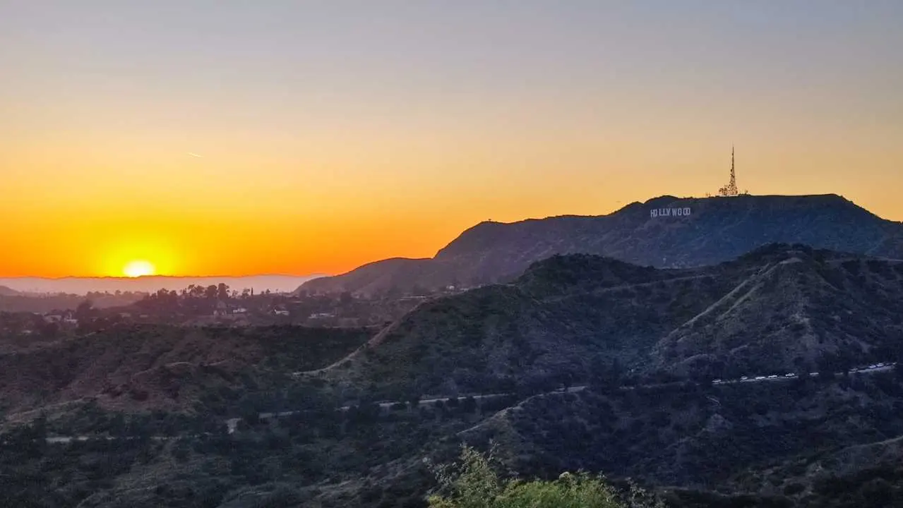 hollywood hills