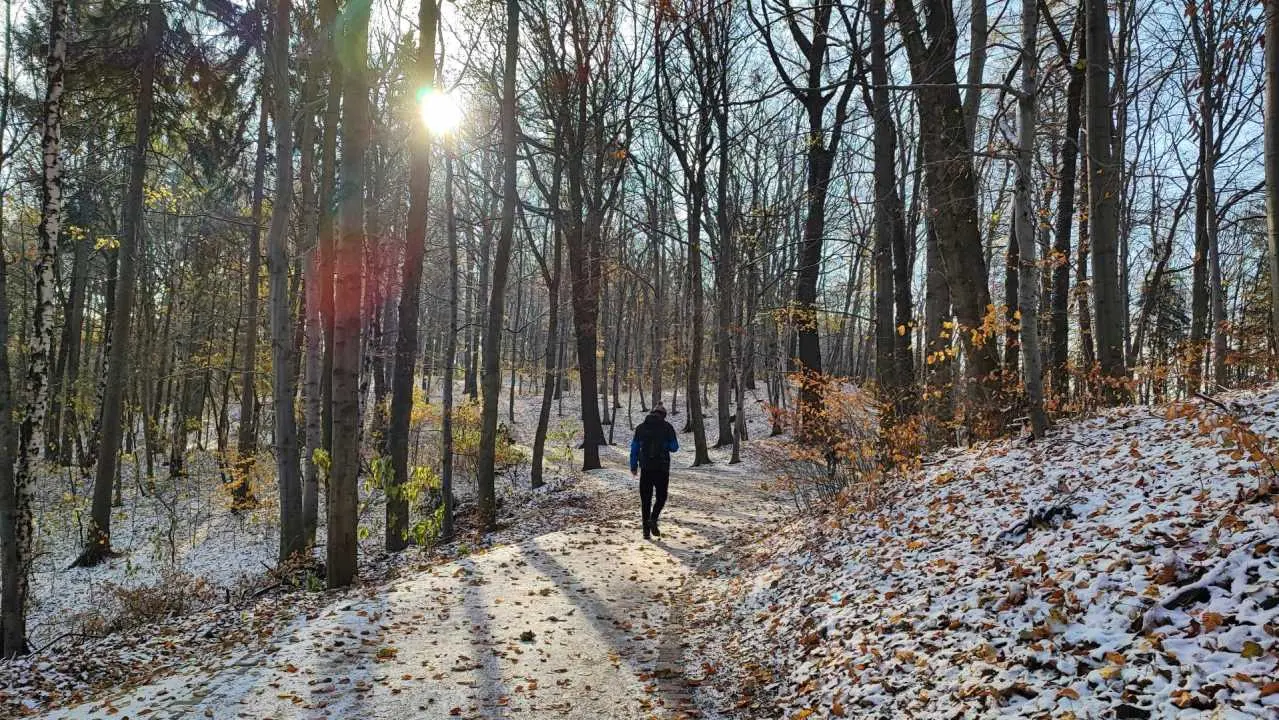 j3s wiking slonce