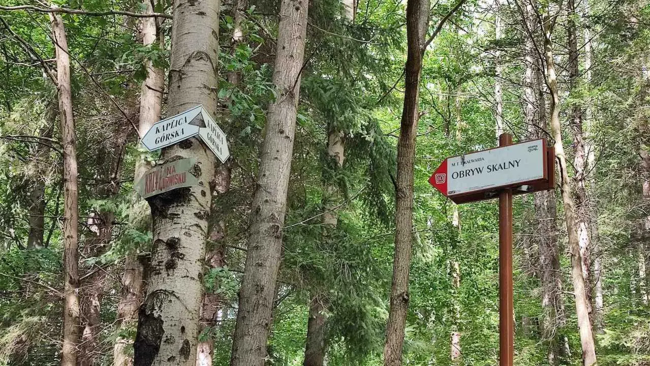 obryw kierunek