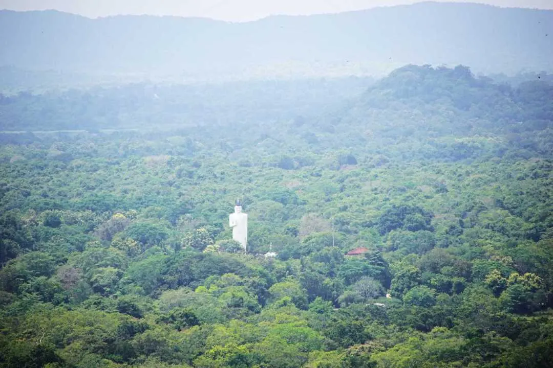 panorama budda