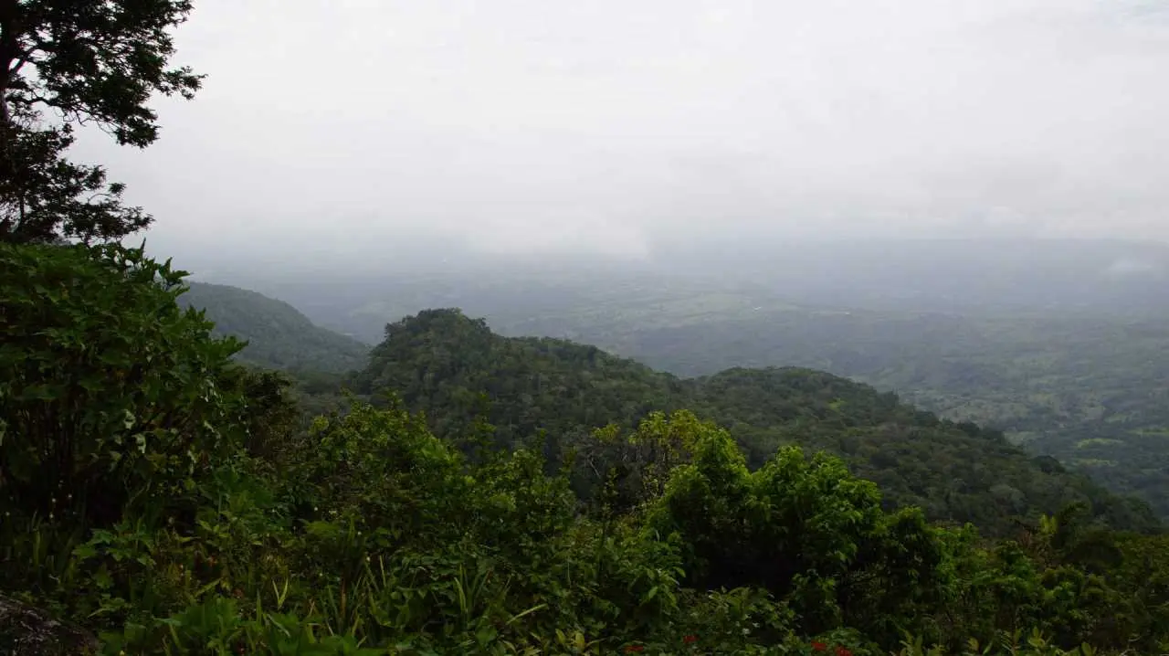 panorama dzungla