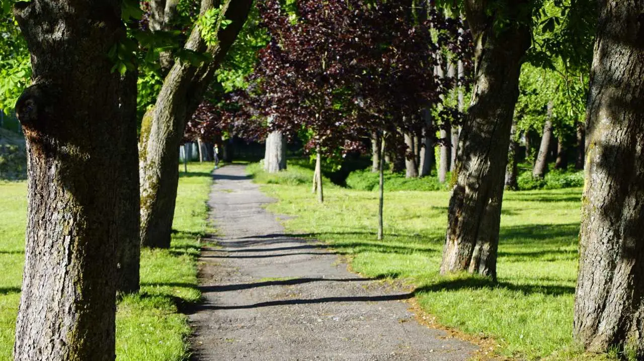 park slawno 4