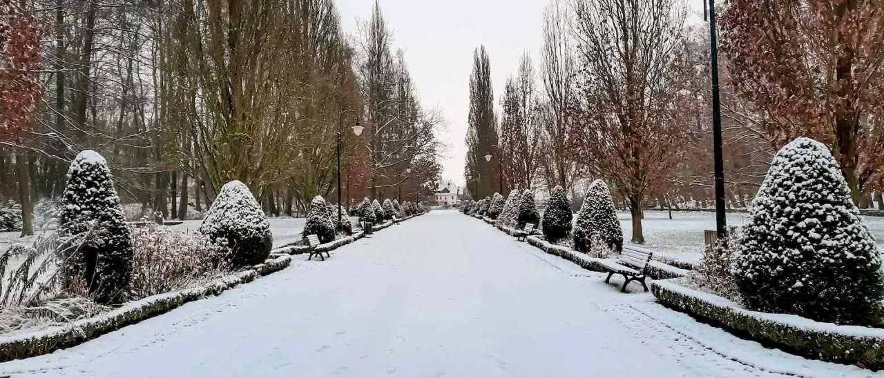 park zdrojowy 1