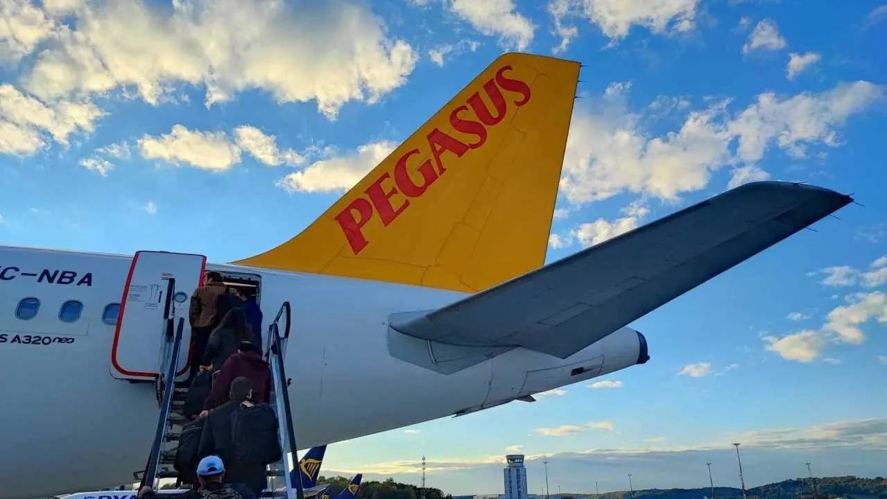 pegasus ogon