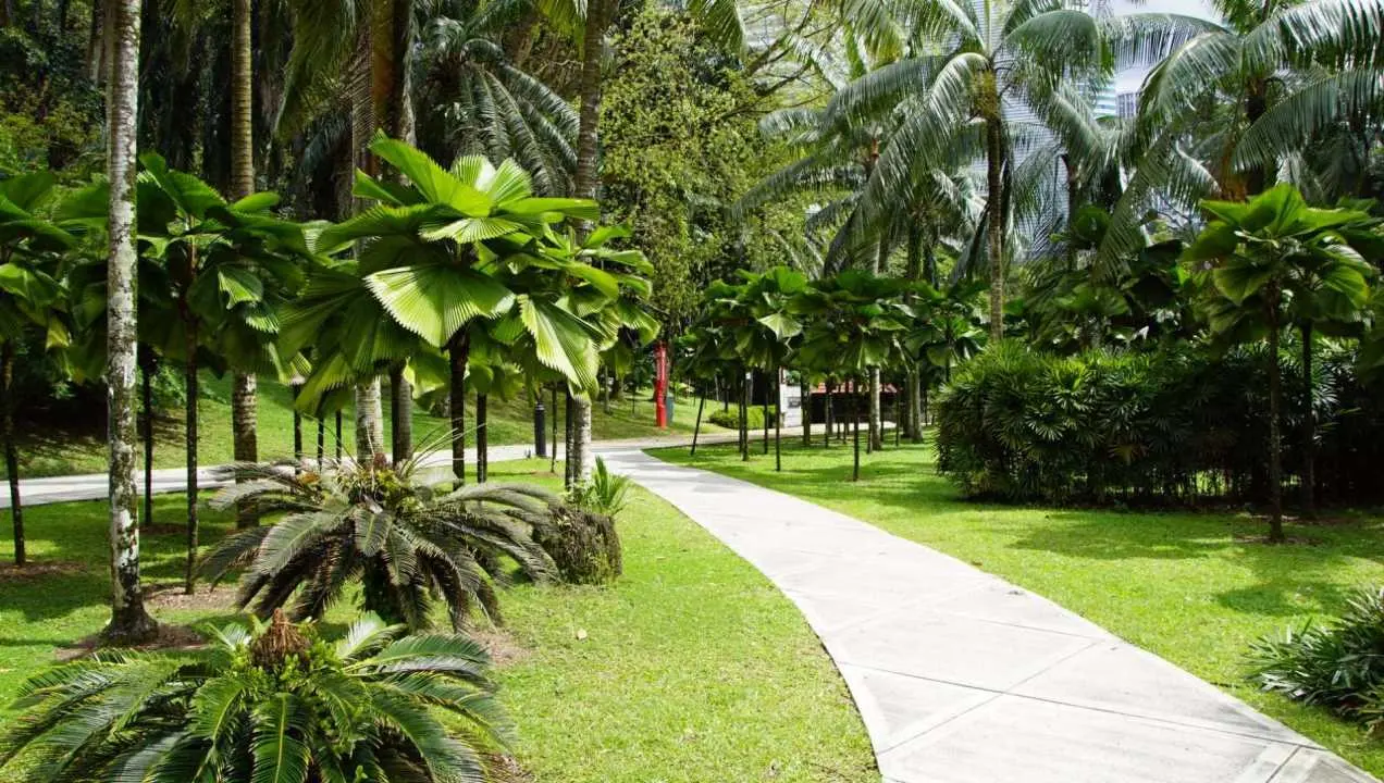 perdana sciezka