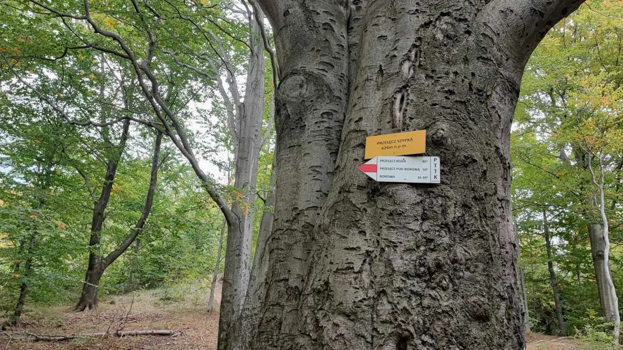 przelecz szypka
