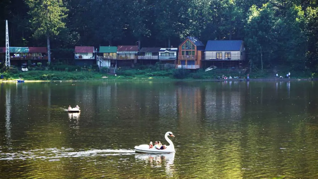 rekreacja labedz