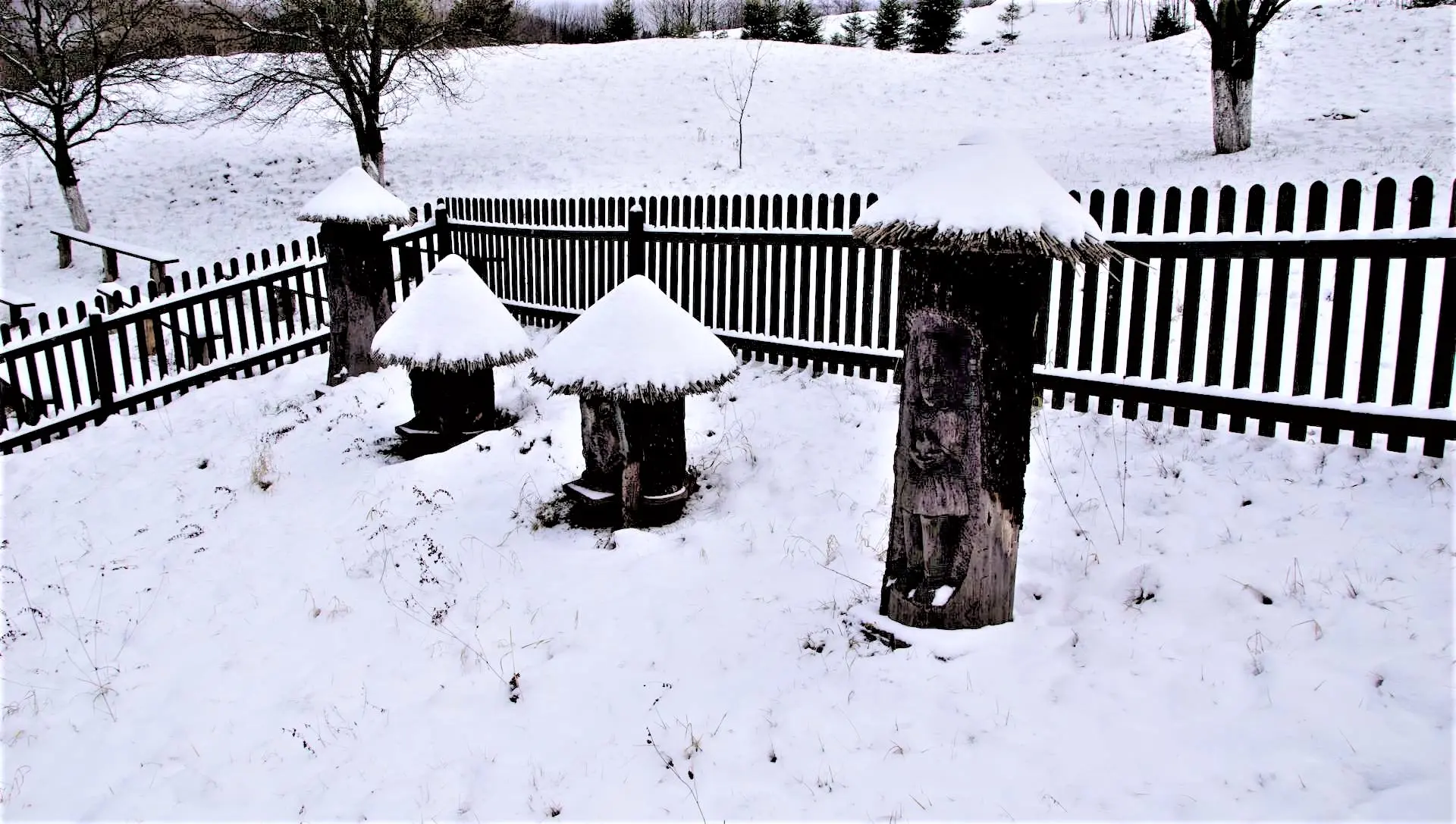 skansen 5 wiatrak