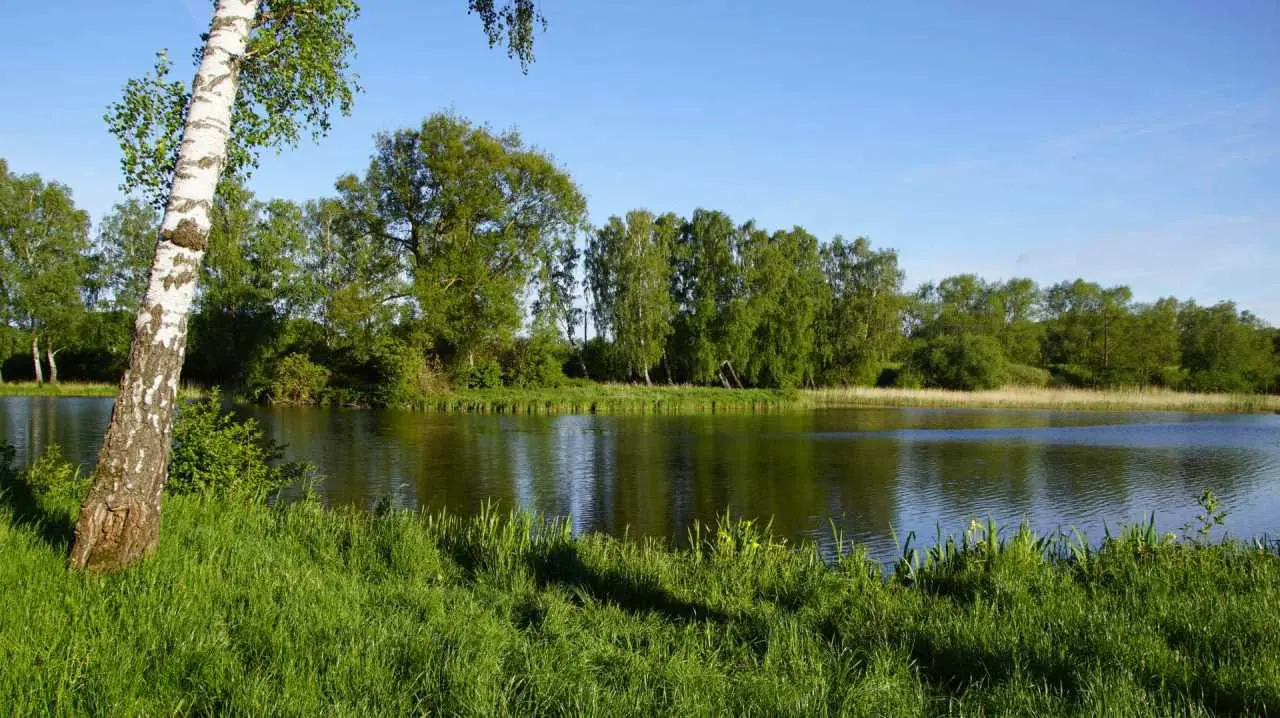 staw slawno