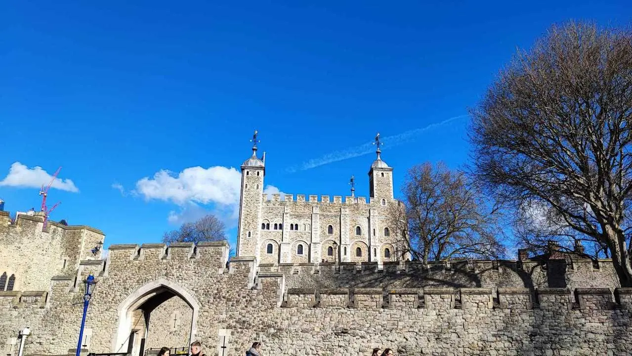 the tower