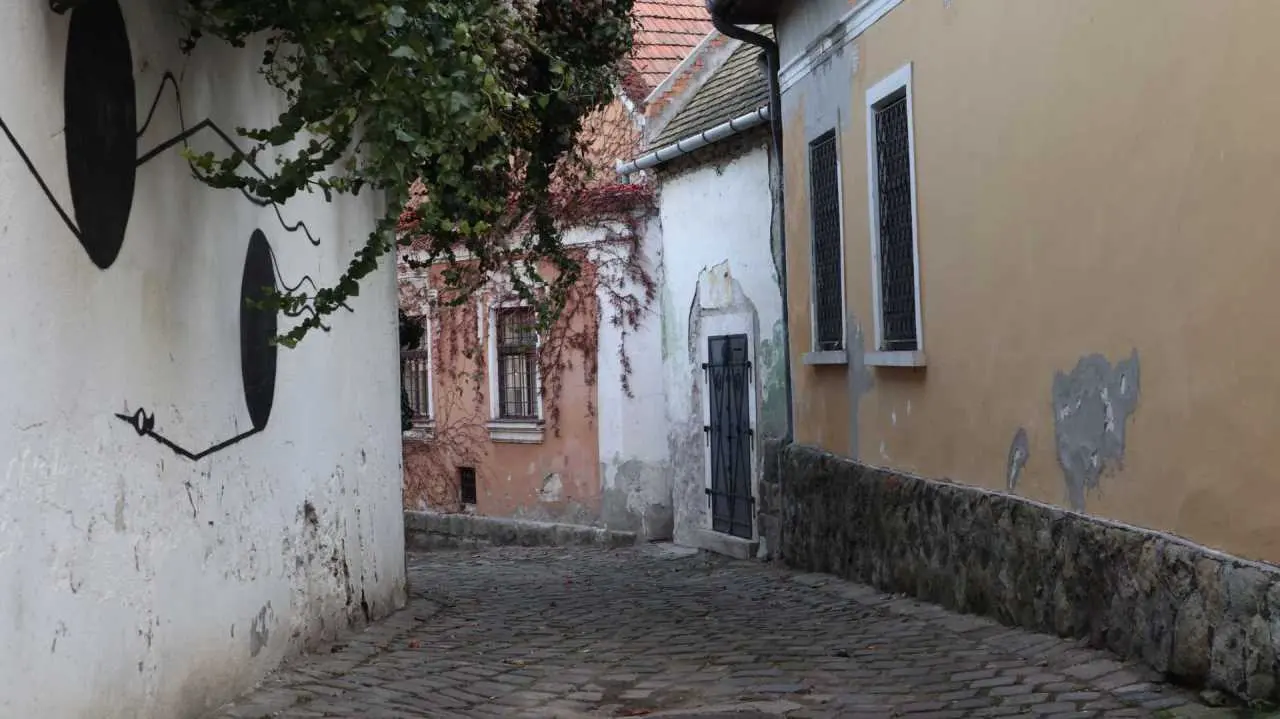 ulica dolna